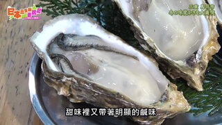 第41集