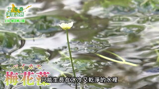 第141集