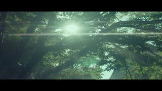 第1集