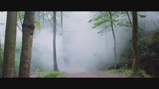 第1集