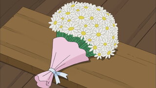 第1259集