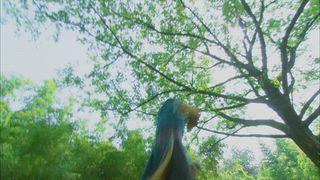 第24集