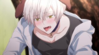 第1集 熊先生的冬眠