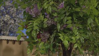 第30集