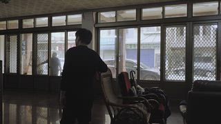 屋舍上的葉仔花