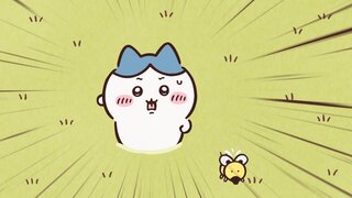 第378集 平行世界④