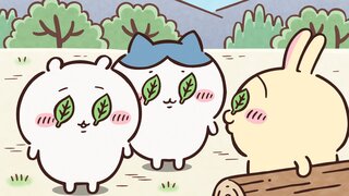 第370集 漂流西瓜①