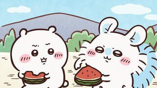 第371集 漂流西瓜②